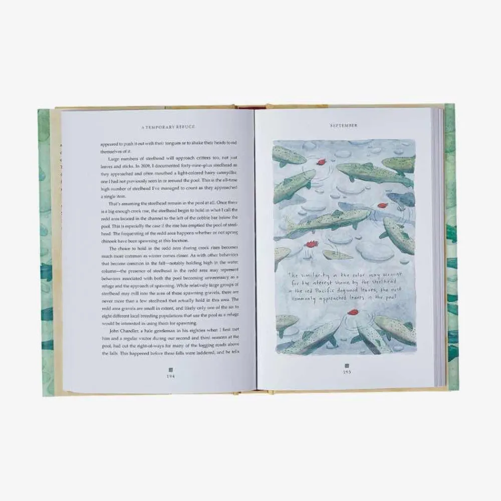 Hot A Temporary Refuge: Fourteen Seasons With Wild Summer Steelhead By Lee Spencer Kirjat Ja Oppaat
