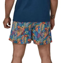 Discount Baggies Shorts - 5 Shortsit