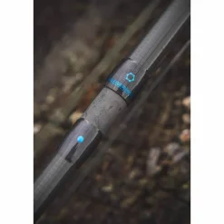 Online Merisuola Predator Perhovavat Ja Kelat
