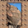 Best Sale Terradets Climbing Topo Guide (Spanish Language) Kirjat Ja Oppaat