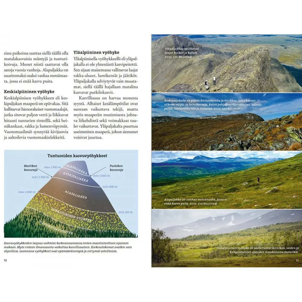 Clearance Vaeltajan Tunturikasvio Opaskirjat Ja Kartat